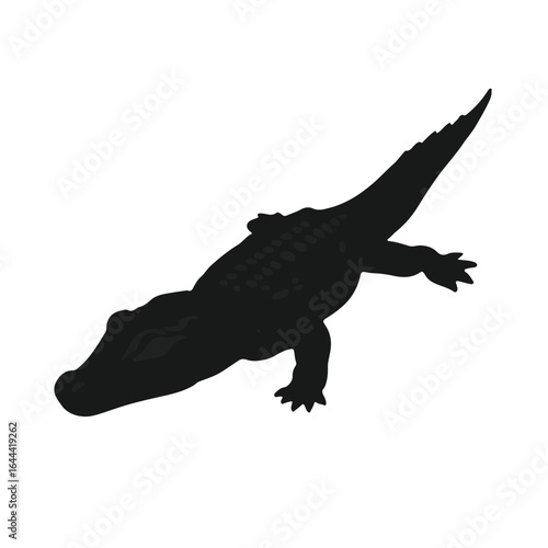 Northern-Alligator-Lizard