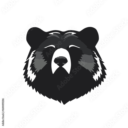 North American Black Bear