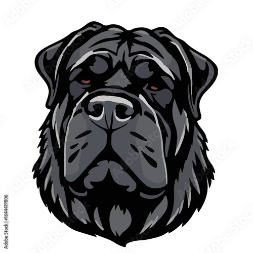 Neapolitan Mastiff Illustration