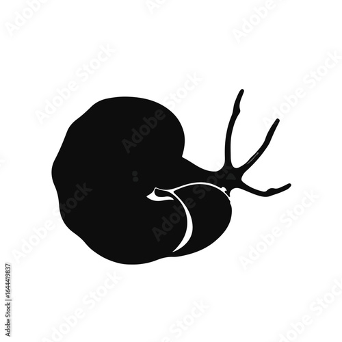 Nautilus Marine Creature (Black)