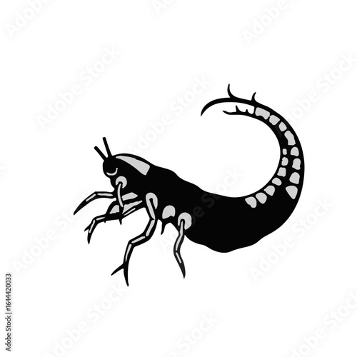 Black Nematode Animal