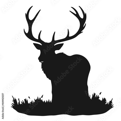 Black Musk Deer Illustration