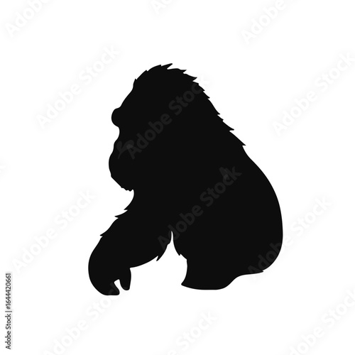 Mountain Gorilla Illustration