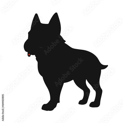 Moscow Watchdog Animal