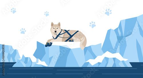 Illustrative husky resting on iceberg with paw prints and blue arctic ocean landscape