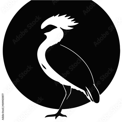 Black Moorhen Illustration