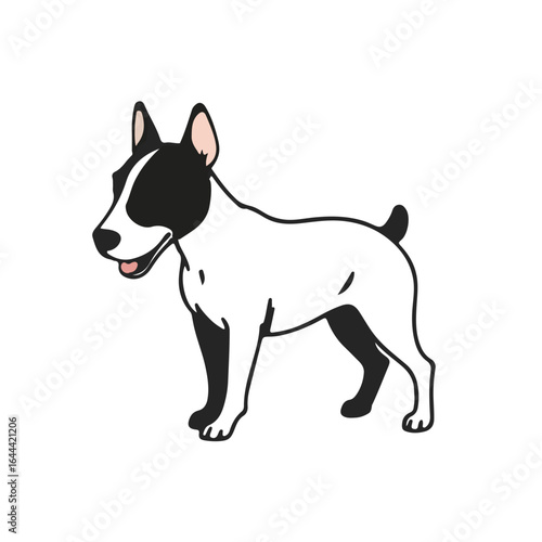 Miniature Bull Terrier Portrait
