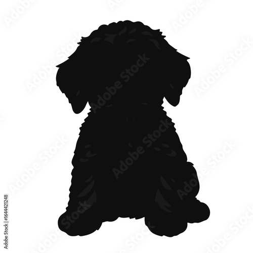 Mini Labradoodle