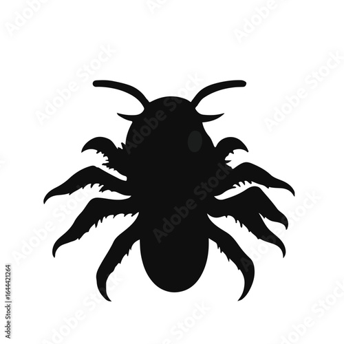 Black Millipede Illustration