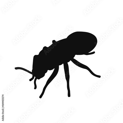 Milkweed Aphids Illustration