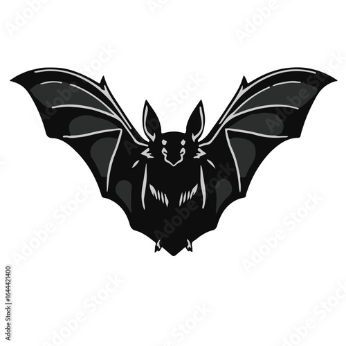 Mexican Free-Tailed Bat Illustration