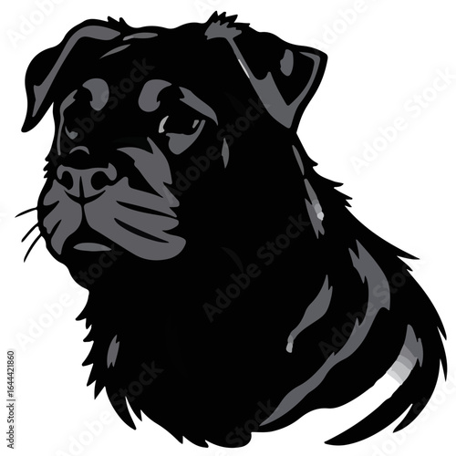 Mastiff-Mix Animal Illustration