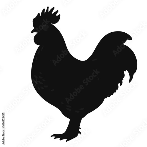 Marans Chicken