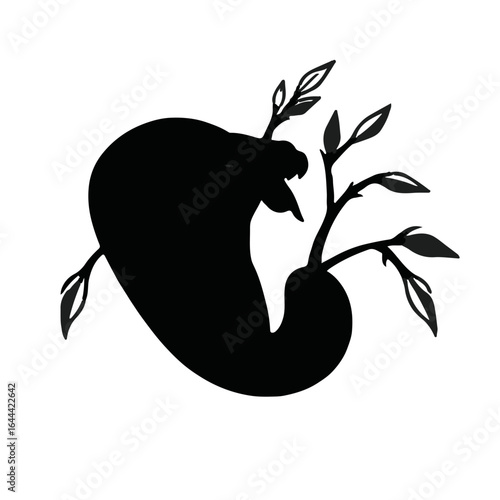 Mangrove Swamp Snake