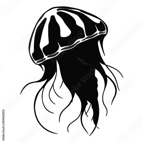 Man-of-War Jellyfish