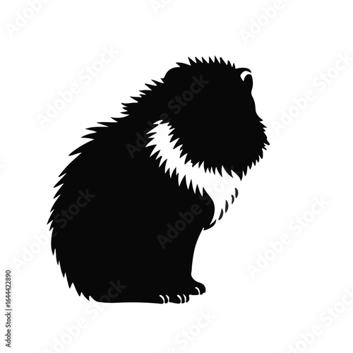Black Maltipoo Animal
