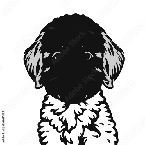 Mini Labradoodle Illustration