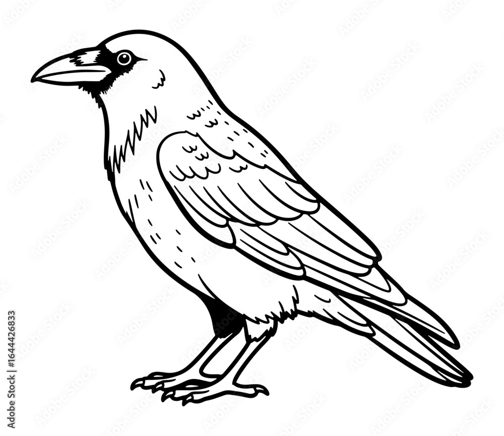 Fototapeta premium Detailed Black and White Line Art Illustration of a Standing Crow