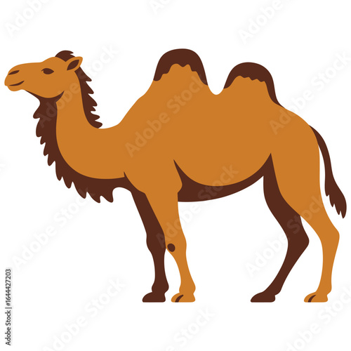 camel in the desert