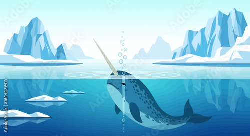 Narwhal swims in arctic waters surrounded by icebergs creating ripples calm scene
