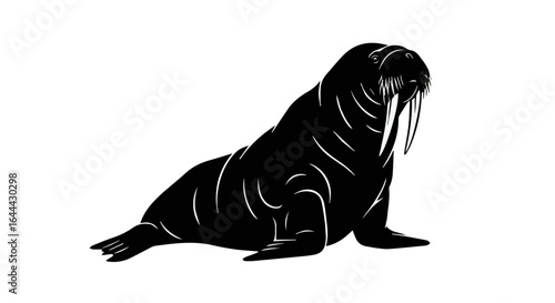 Object discover majestic walrus vector image for wildlife enthusiasts and arctic animal illustration projects online vector