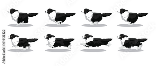 Australian Shepherd Running Side Cartoon Animation Frame Vector
