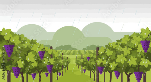 Rainy day at the vineyard showcases the beauty of nature during a downpour in vineyard illustration