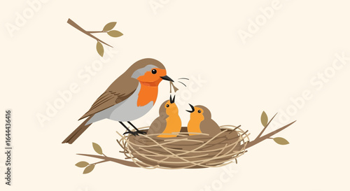 Robin Parent Feeding Baby Birds In Nest Spring Scene Motherhood Concept
