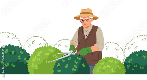 Senior gardener trimming bushes with hedge clippers in his garden, enjoying outdoor activities and garden upkeep