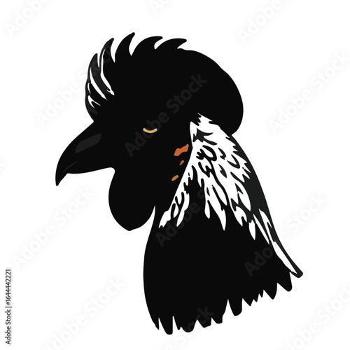 Ayam-Cemani Animal
