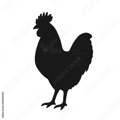 Australorp Chicken Illustration