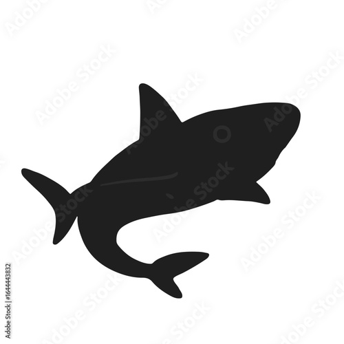 Black Angelshark