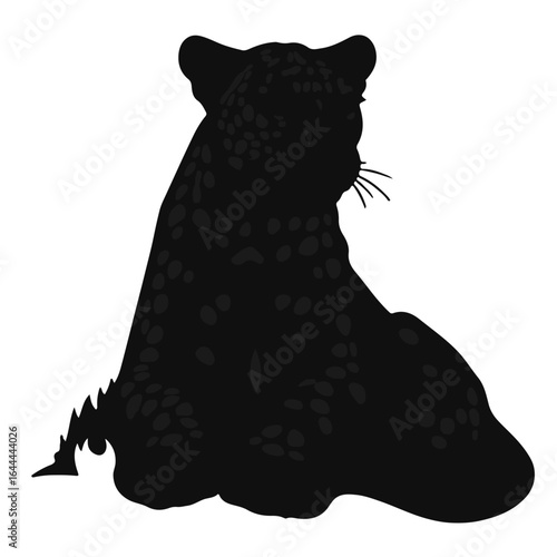 American Leopard Hound