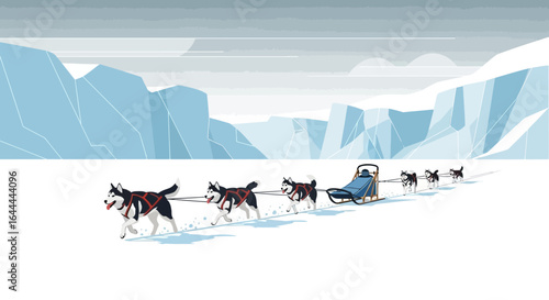 Vector illustration of a dog sled team running across the arctic landscape, showcasing sledding activity in polar regions