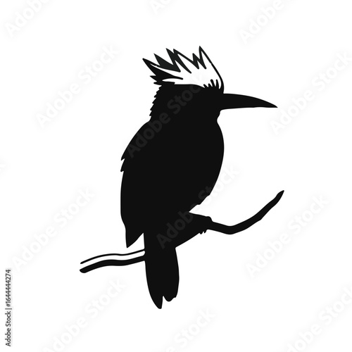 Amazonian Royal Flycatcher
