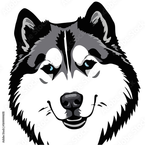 Alaskan Malamute Image