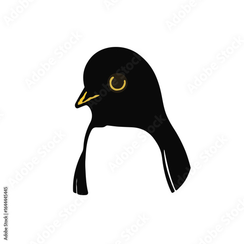 Yellow-eyed Penguin Illustration