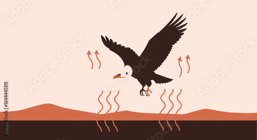 Vulture soars gracefully above the arid landscape, illustrating desert ecology and adaptation mechanisms