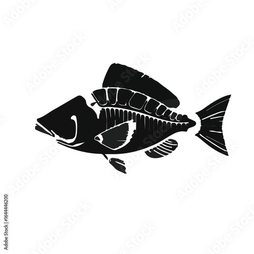 X-ray Tetra Fish - Black