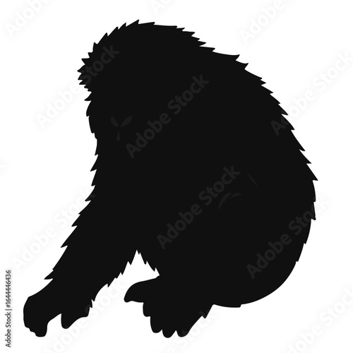 Woolly Monkey Illustration
