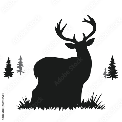 Whitetail Deer in Black