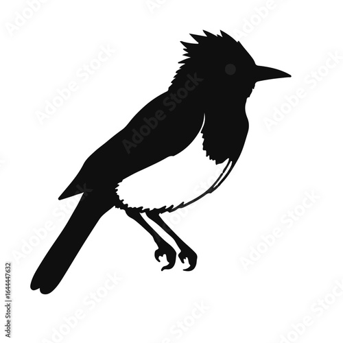 Western Tanager - Black