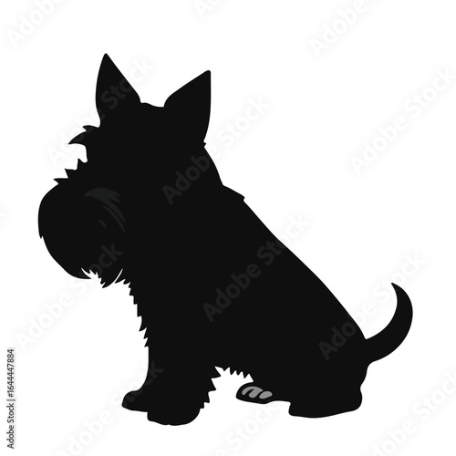Black Welsh Terrier