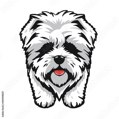 Black Westiepoo Pet