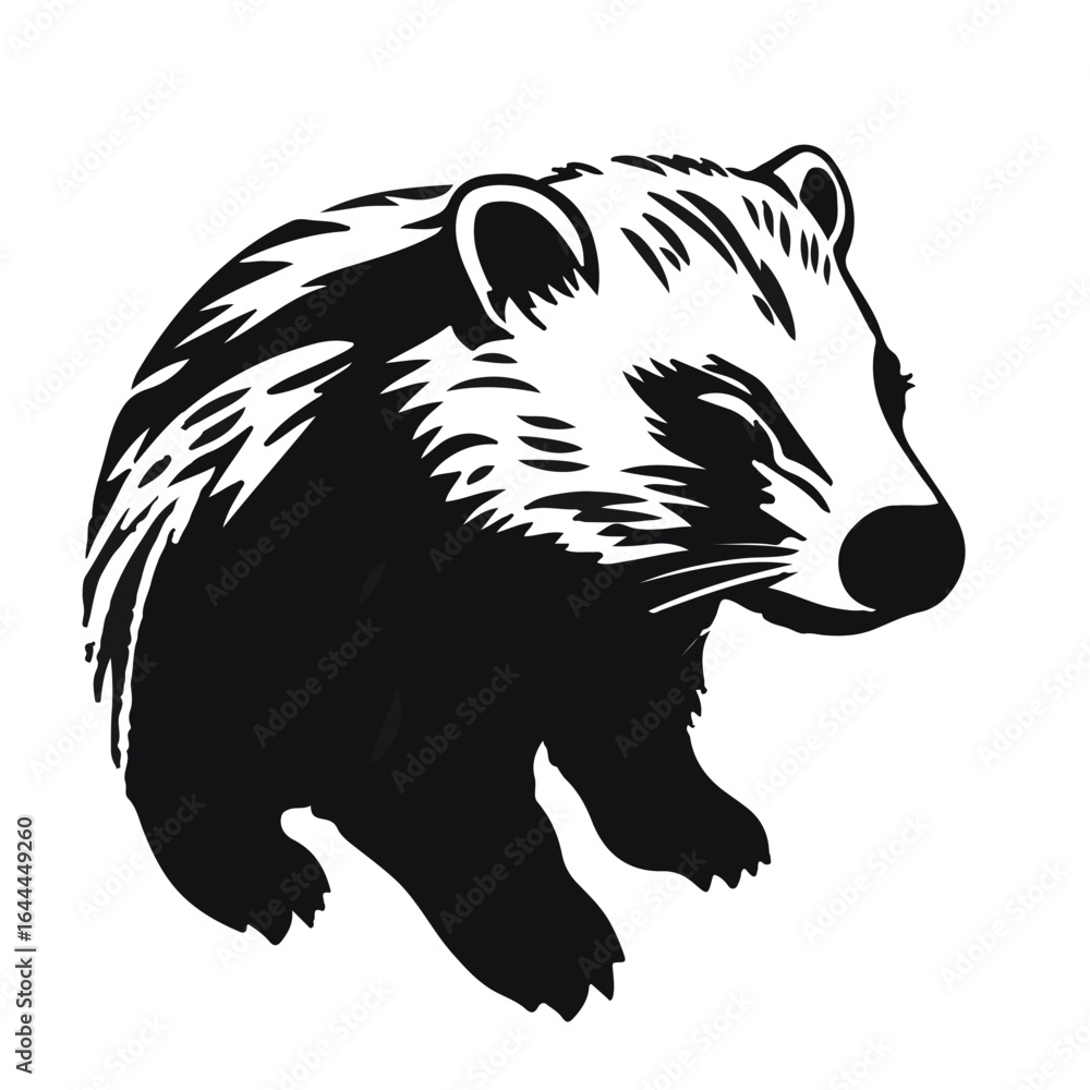 Obraz premium Black-and-White Wombat