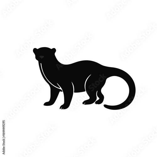 Black and White Weasel
