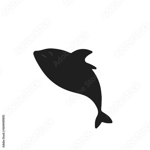 Vaquita Marine Mammal