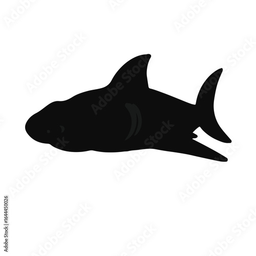 Black Viper Shark