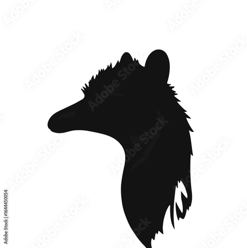 White Backdrop with Black Vicuna