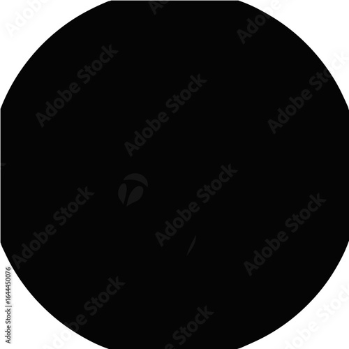 Black Vinegaroon Animal